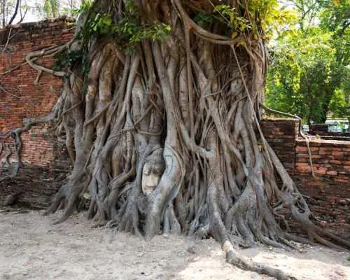 阿瑜陀耶遺址導覽（含遊船）