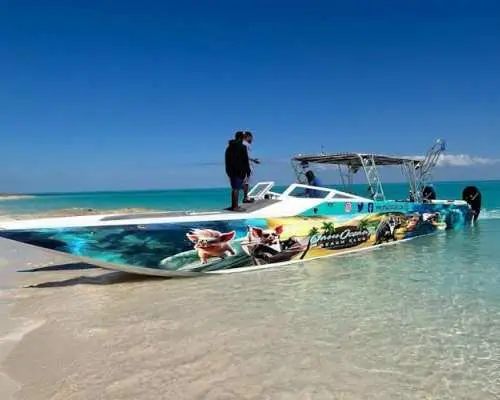 Green Turtle Cay, Pigs Island and Rose Island Tour