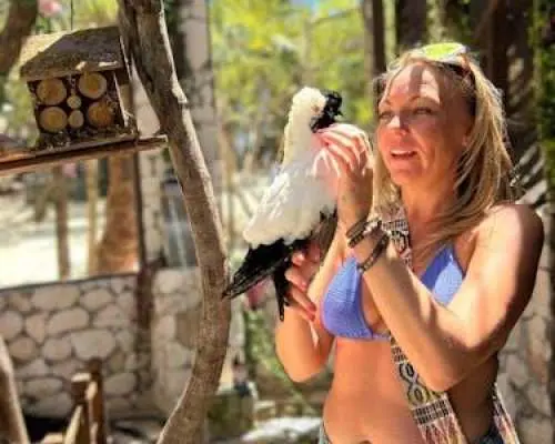 Green Turtle Cay, Pigs Island and Rose Island Tour