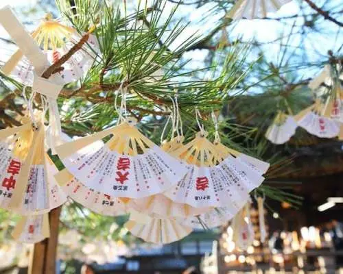 从大阪出发，伊根町、天桥立和宫山村一日游