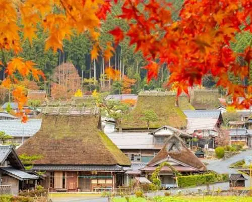 从大阪出发，伊根町、天桥立和宫山村一日游