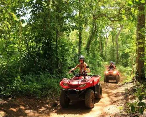 One-hour Diamonte Eco Park single quad bike tour