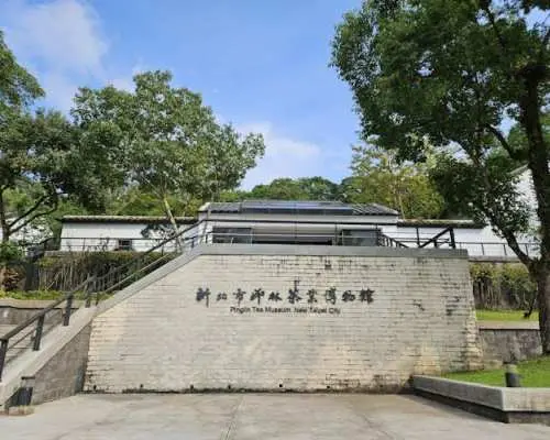 Pinglin Tea Culture and Maokong Day Tour from Taipei