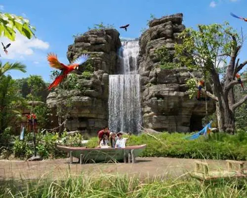 Entrance tickets to Bird Paradise