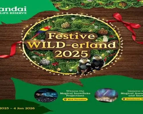 Entrance tickets to Bird Paradise