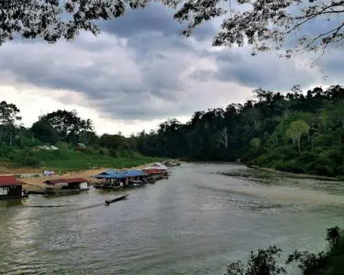 Taman Negara jungle tour