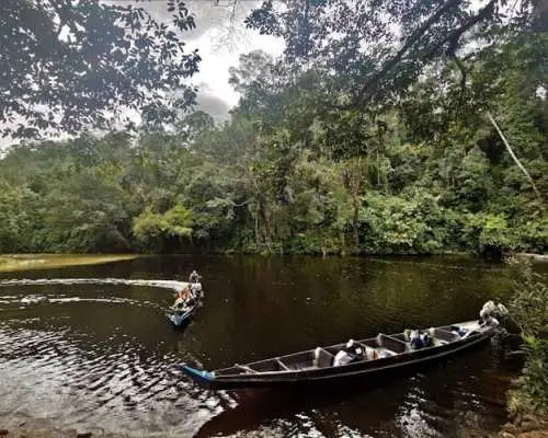 Taman Negara jungle tour