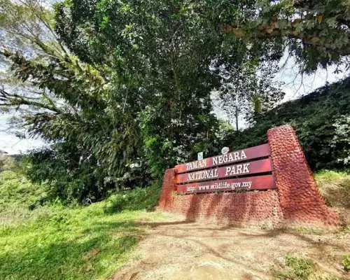 Taman Negara jungle tour