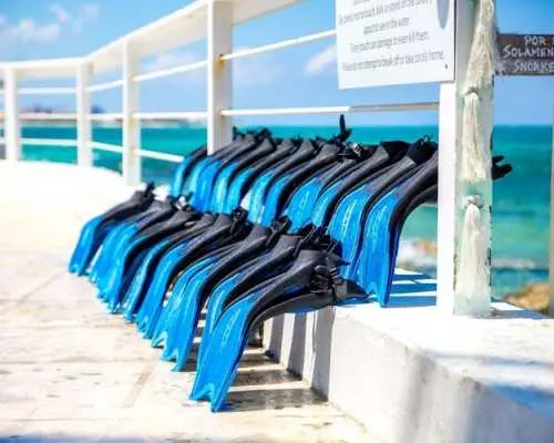 Pearl Island beach escape tour with lunch and snorkeling