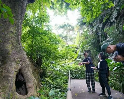 Okinawa royal history and culture walking tour in Shuri