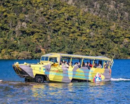 塔拉韋拉與湖泊生態之旅