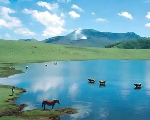 從福岡出發，穿越時空，造訪熊本城和阿蘇山