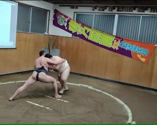 Interactive sumo wrestling experience with meal in Tokyo