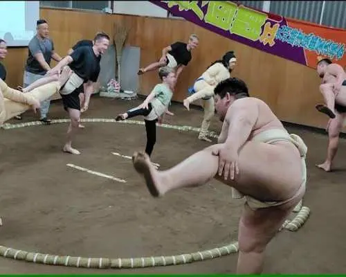 Interactive sumo wrestling experience with meal in Tokyo
