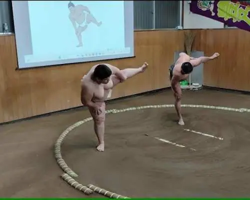 Interactive sumo wrestling experience with meal in Tokyo