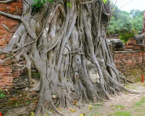 Private Longtail Tour in Ayutthaya from Pattaya
