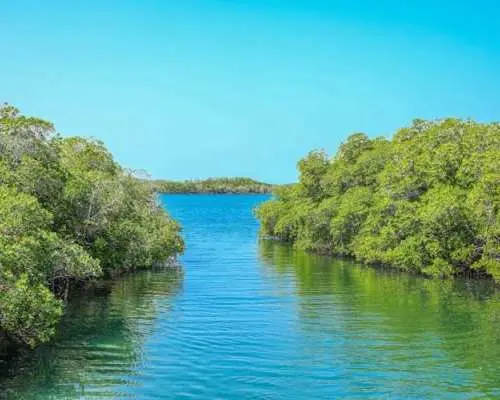 Cayo Arena exclusive tour