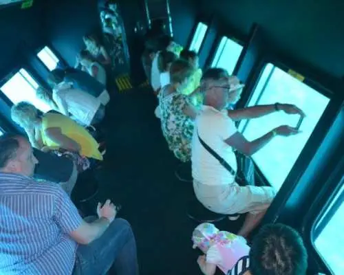 ทริปดำน้ำตื้นและล่องเรือดำน้ำชมเกาะไอน์โซคนา พร้อมอาหารกลางวัน จากกรุงไคโร