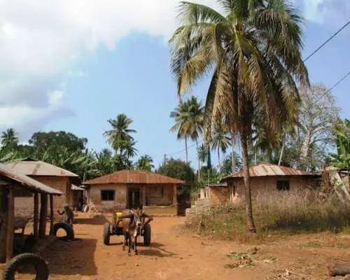 Zanzibar乌兹岛和乔札尼森林私人旅游