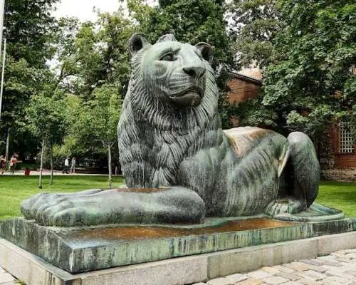 Art and culture in Sofia with a local
