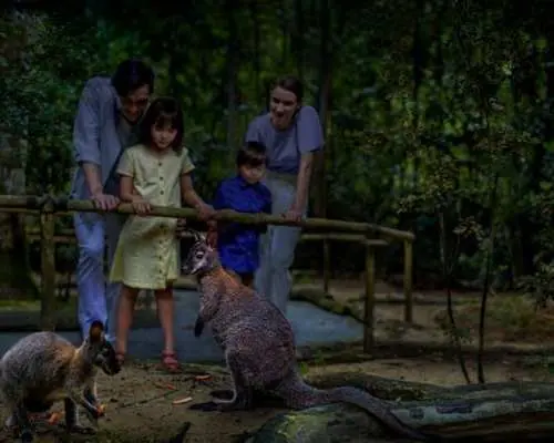Singapore Night Safari park entrance ticket including tram ride