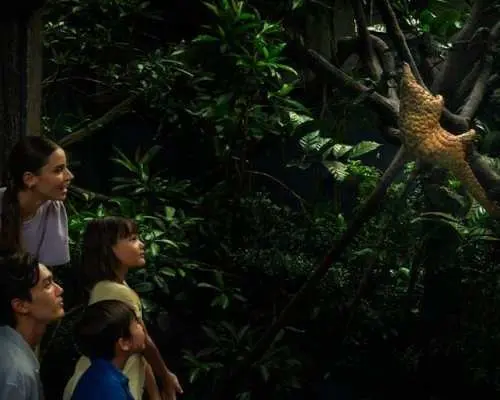 Singapore Night Safari park entrance ticket including tram ride