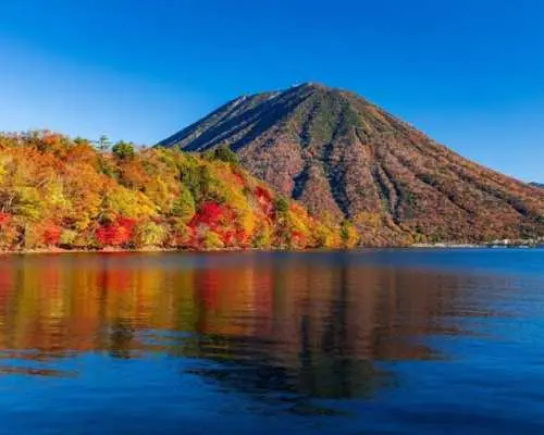 Nikko Toshogu Shrine and Kegon Waterfall Tour from Tokyo
