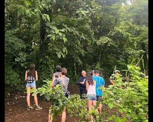 Costa Rica flavours and nature experience