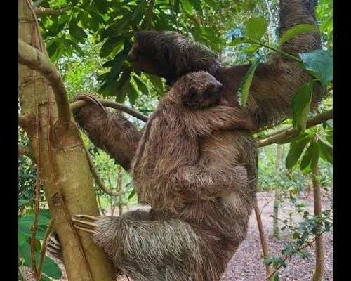 Costa Rica flavours and nature experience