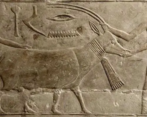 Full-day Memphis, Saqqara and Dahshour