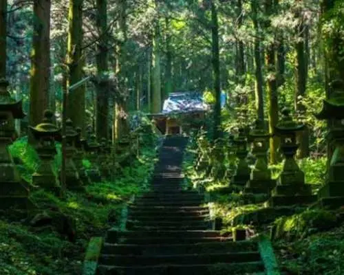 從福岡出發的宮崎縣、高千穗峽和神社導覽遊
