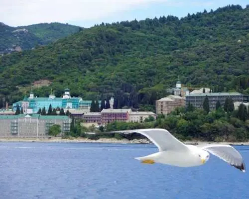 阿索斯山和香蕉海滩游船之旅（含接送服务）