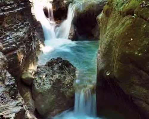 Monkey Land & Damajagua Waterfalls