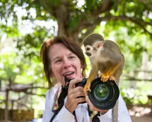 Monkey Land & Damajagua Waterfalls