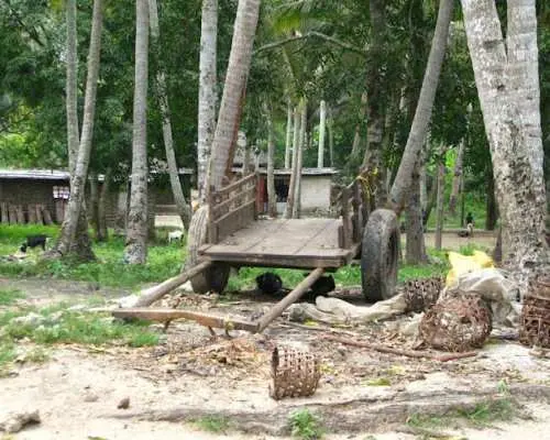 Zanzibar香料农场、洞穴和村庄探险私人之旅