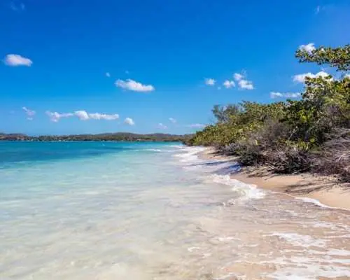 Private Speedboat Paradise Island Tour