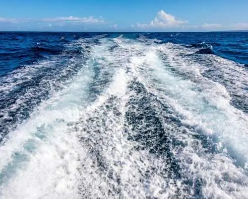 Private Speedboat Paradise Island Tour