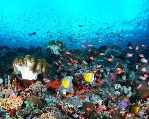 Nusa Lembongan with Manta Bay snorkelling all-inclusive tour