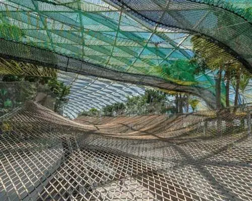 Jewel Changi Airport Experience Tickets