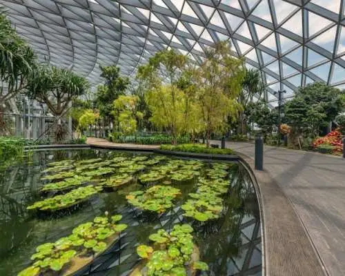 Jewel Changi Airport Experience Tickets