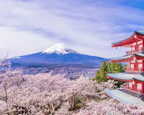 富士山、山中湖、河口湖への日帰り旅行