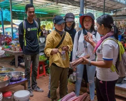 Siem Reap cycling and culinary adventure