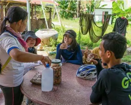 Siem Reap cycling and culinary adventure