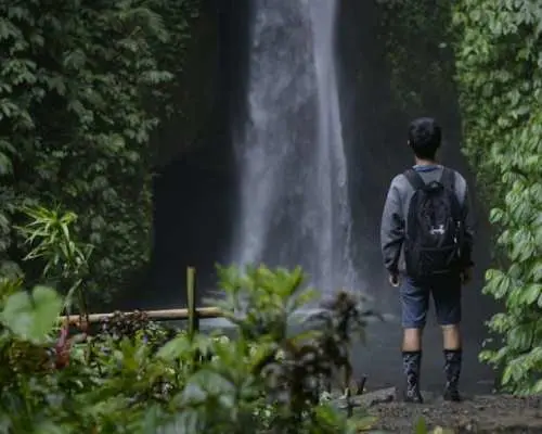 Bali guided tour with Jatiluwih rice terraces and optional lunch