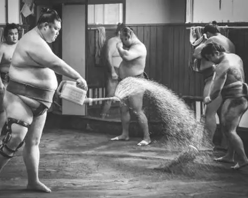 Sumo training observation tour with sumo journalist