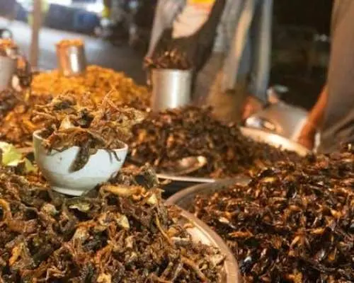 Siem Reap food tour