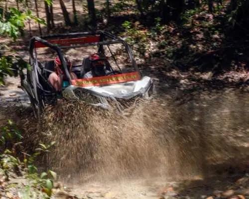 Damajagua Waterfalls & Jungle Buggies