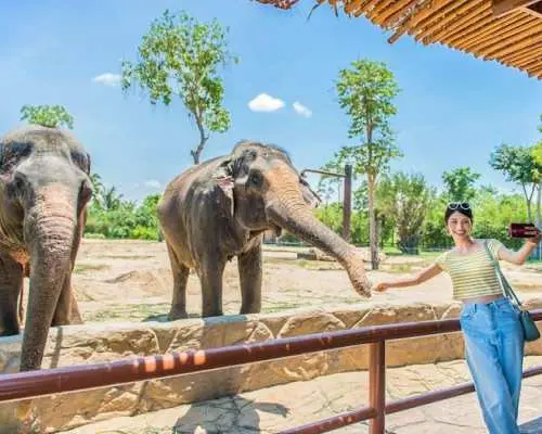VinWonder South Hoi An tickets