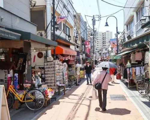 Yanaka: historical walking tour in Tokyo's old town