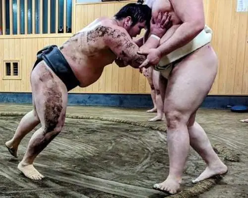 Morning sumo practice viewing with guide in Tokyo